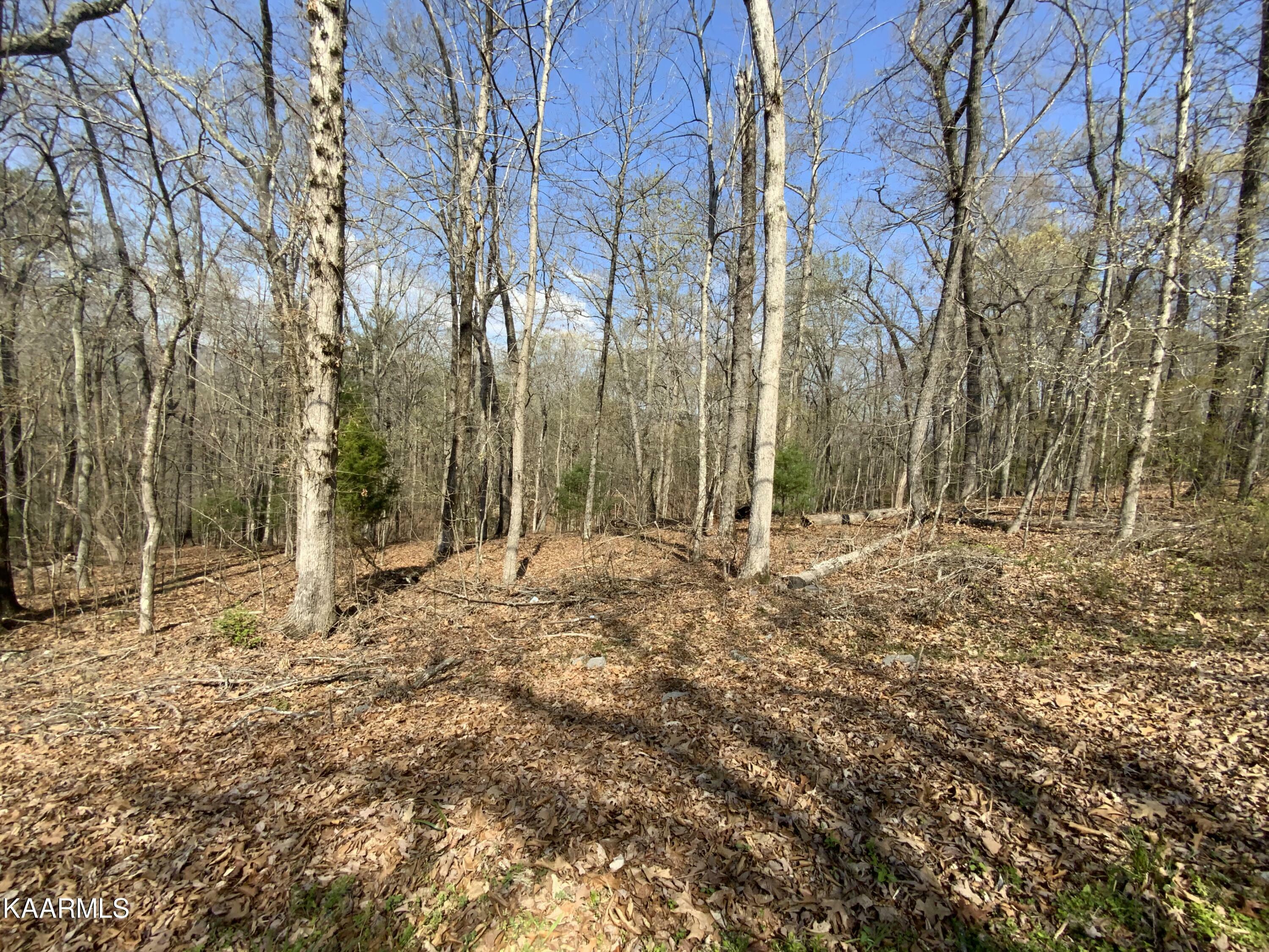 Property Photo:  Rendezvous Road Lot # 21  TN 37854 