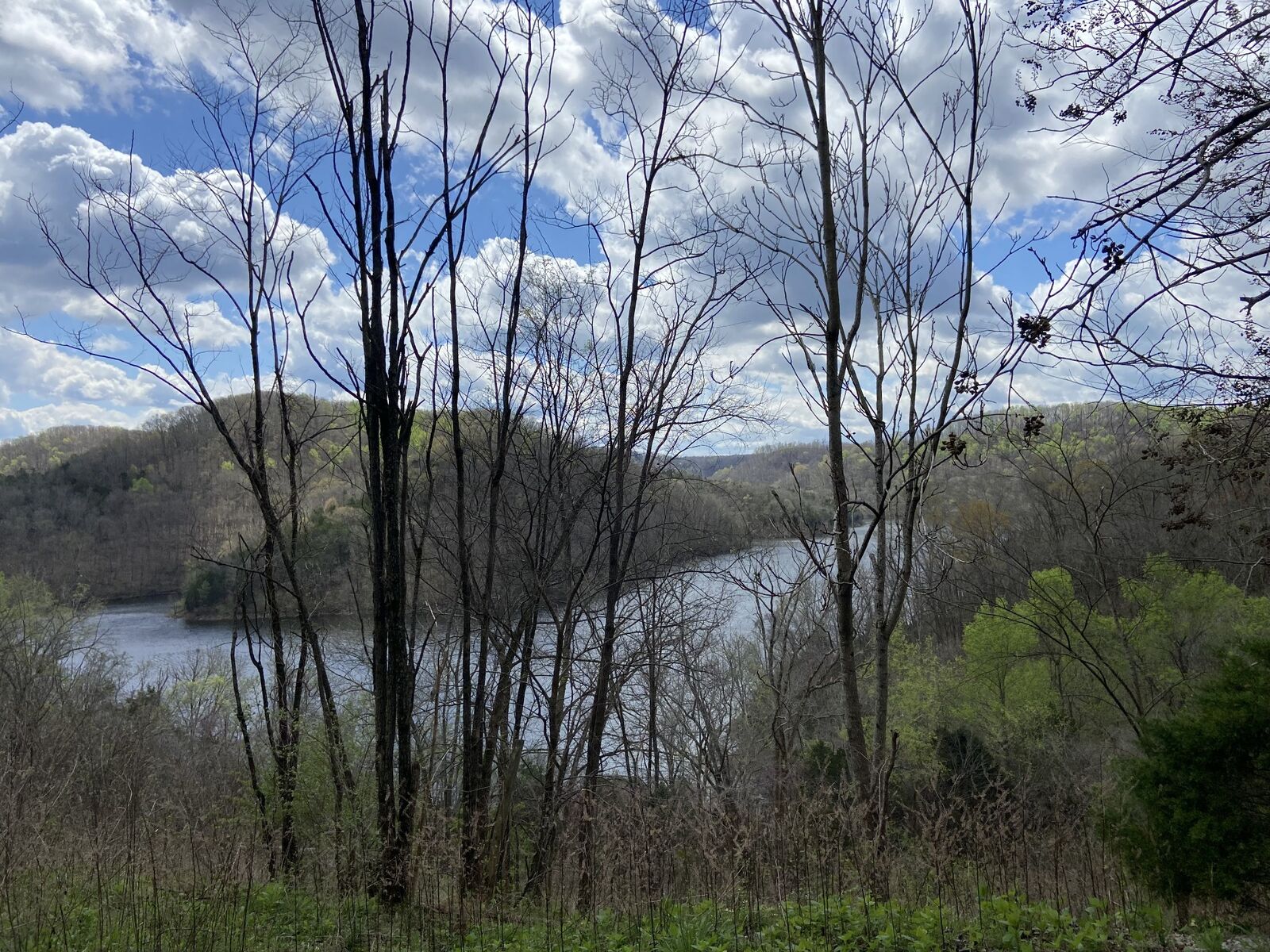 Property Photo:  90 Blackberry Ridge Way  TN 37166 