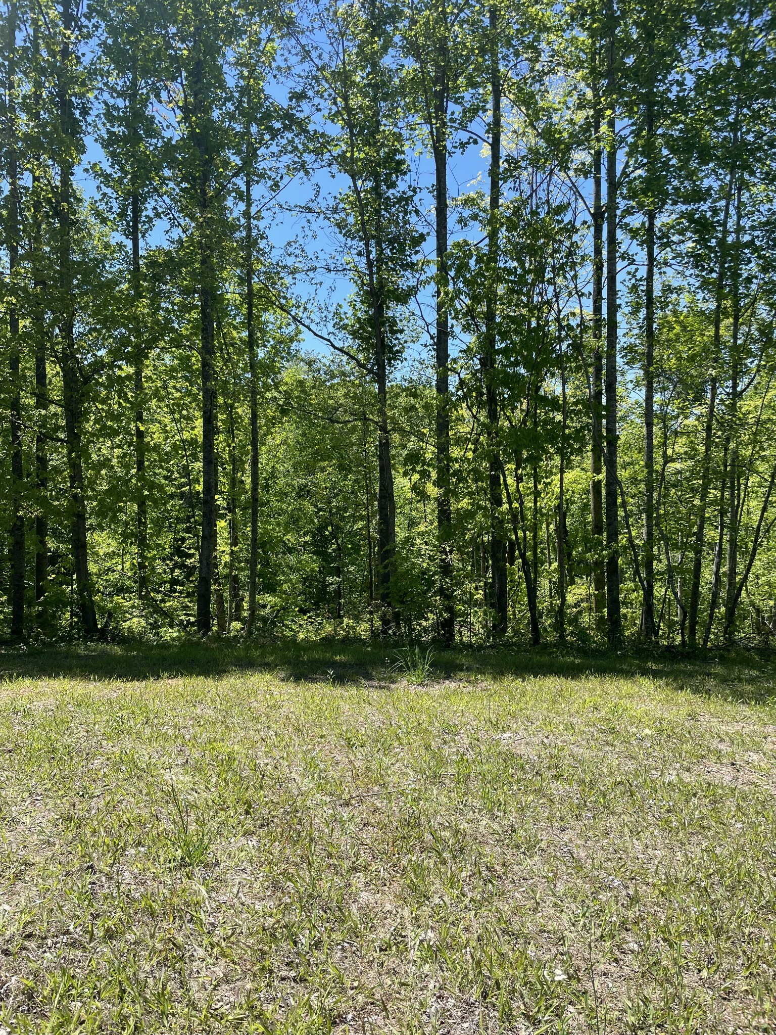 Property Photo:  0 Highway 52 W  TN 37083 