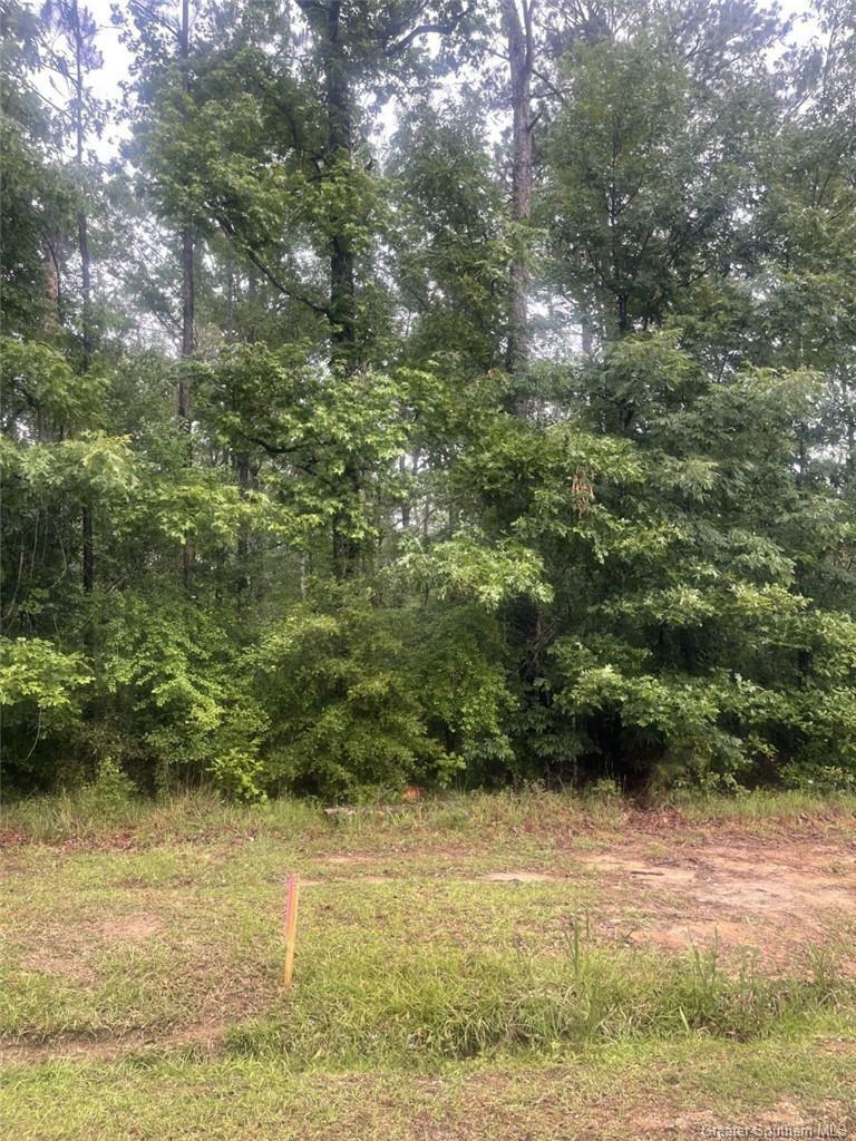 Property Photo: Ernest Drive LA 70657