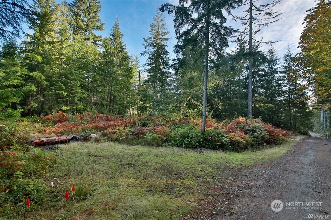 Property Photo:  2761 Silent Cedars Lane  WA 98260 