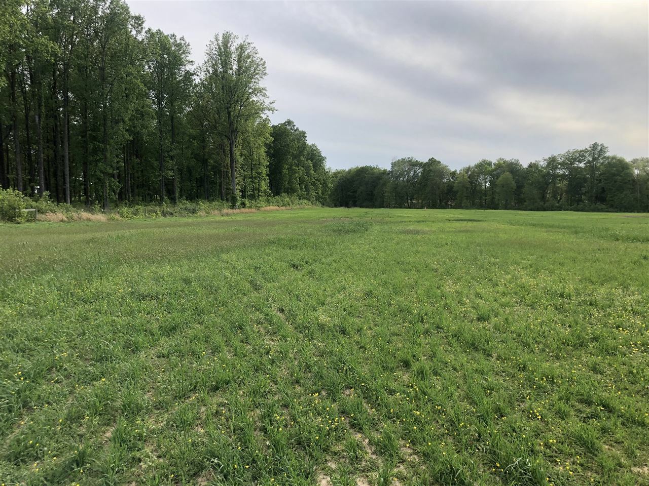 Property Photo:  4591 Petros Road Lot 2-4  KY 42170 