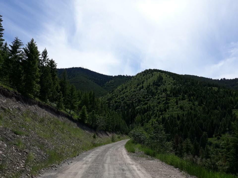 Property Photo:  Nhn G Larch Camp Road  MT 59803 