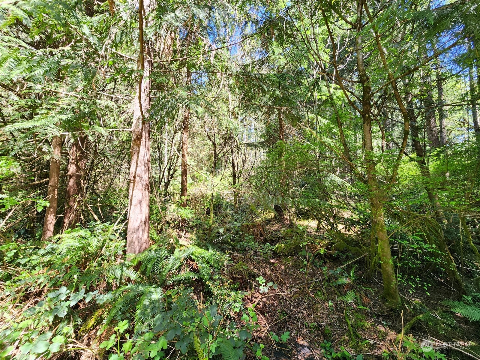 Property Photo: 8835 Orchard Avenue SE WA 98367