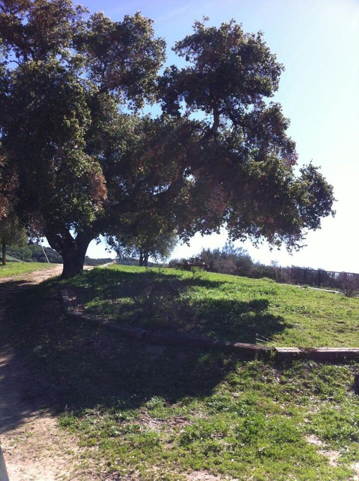 5 Asoleado Drive  Carmel Valley CA 93924 photo