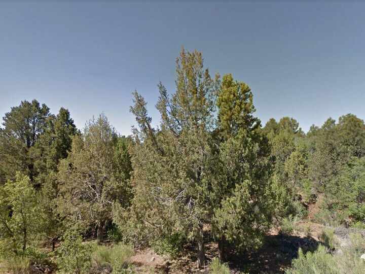 Property Photo:  Zion Hunting Est Blk 2 Lot 37  UT 84762