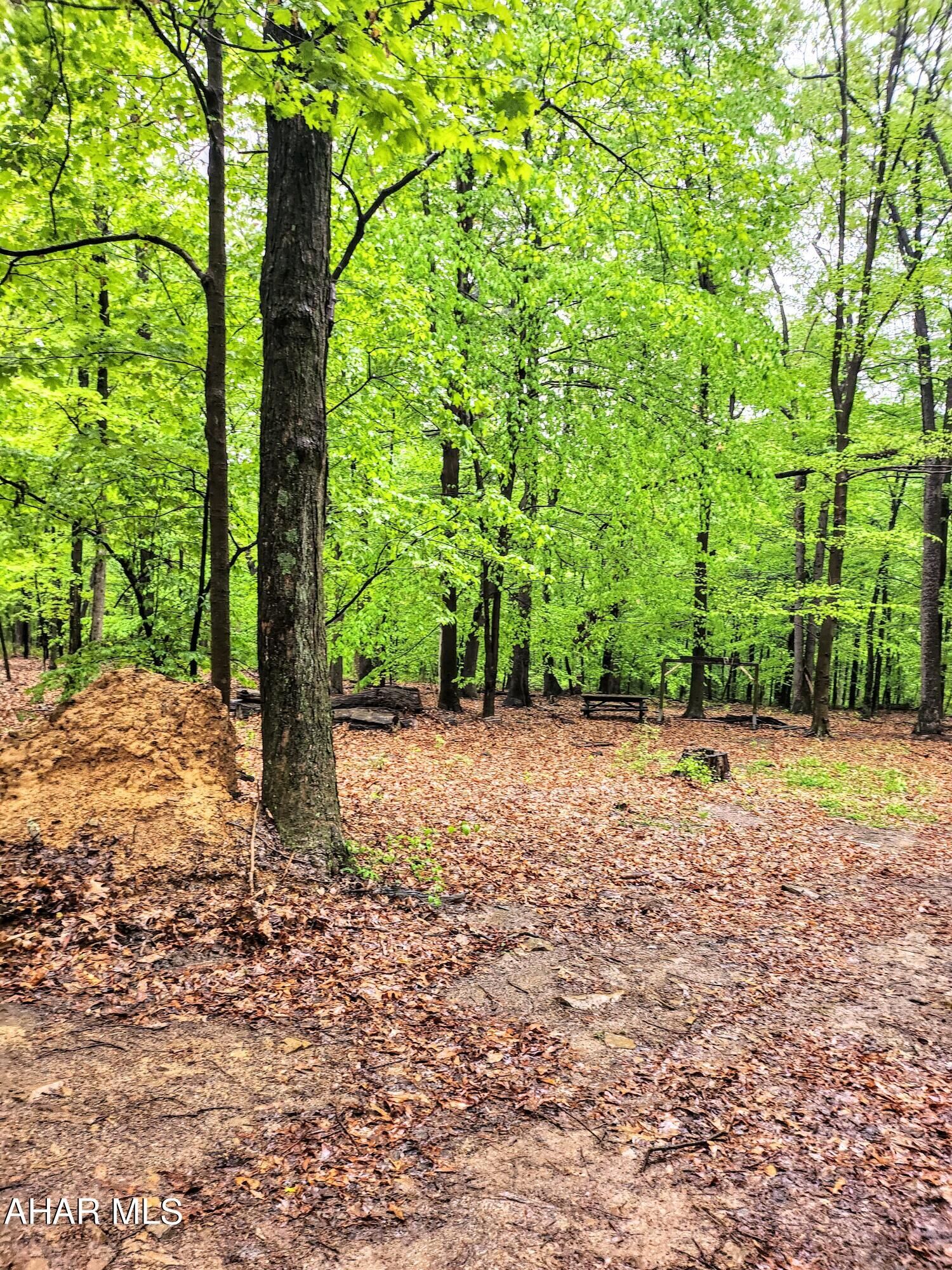 Property Photo: 0 Mosquito Hollow Road PA 16679