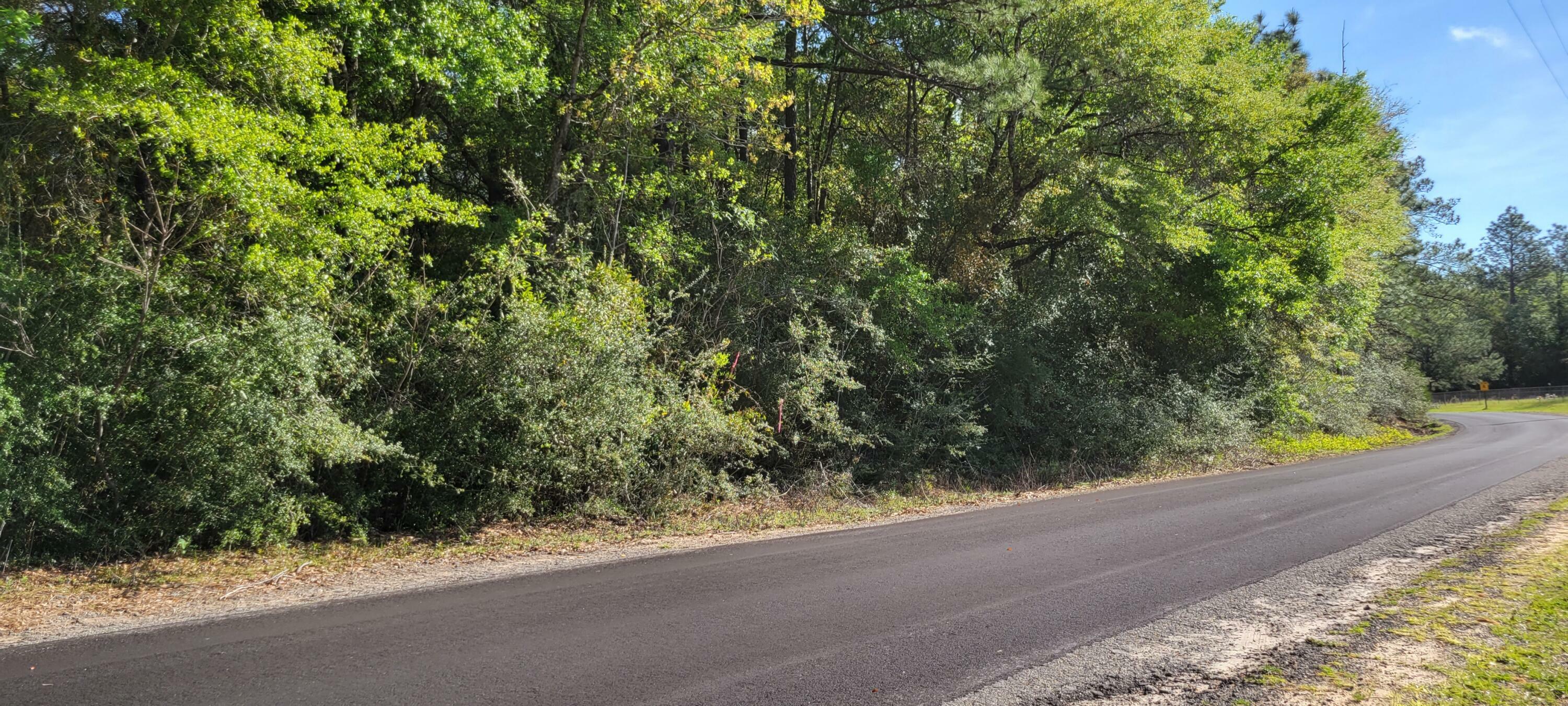 Property Photo: 16.25 Acre Crowder Chapel Road FL 32539