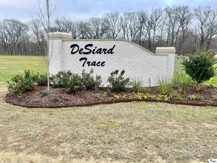 9138 Desiard Trace  Sterlington LA 71280 photo