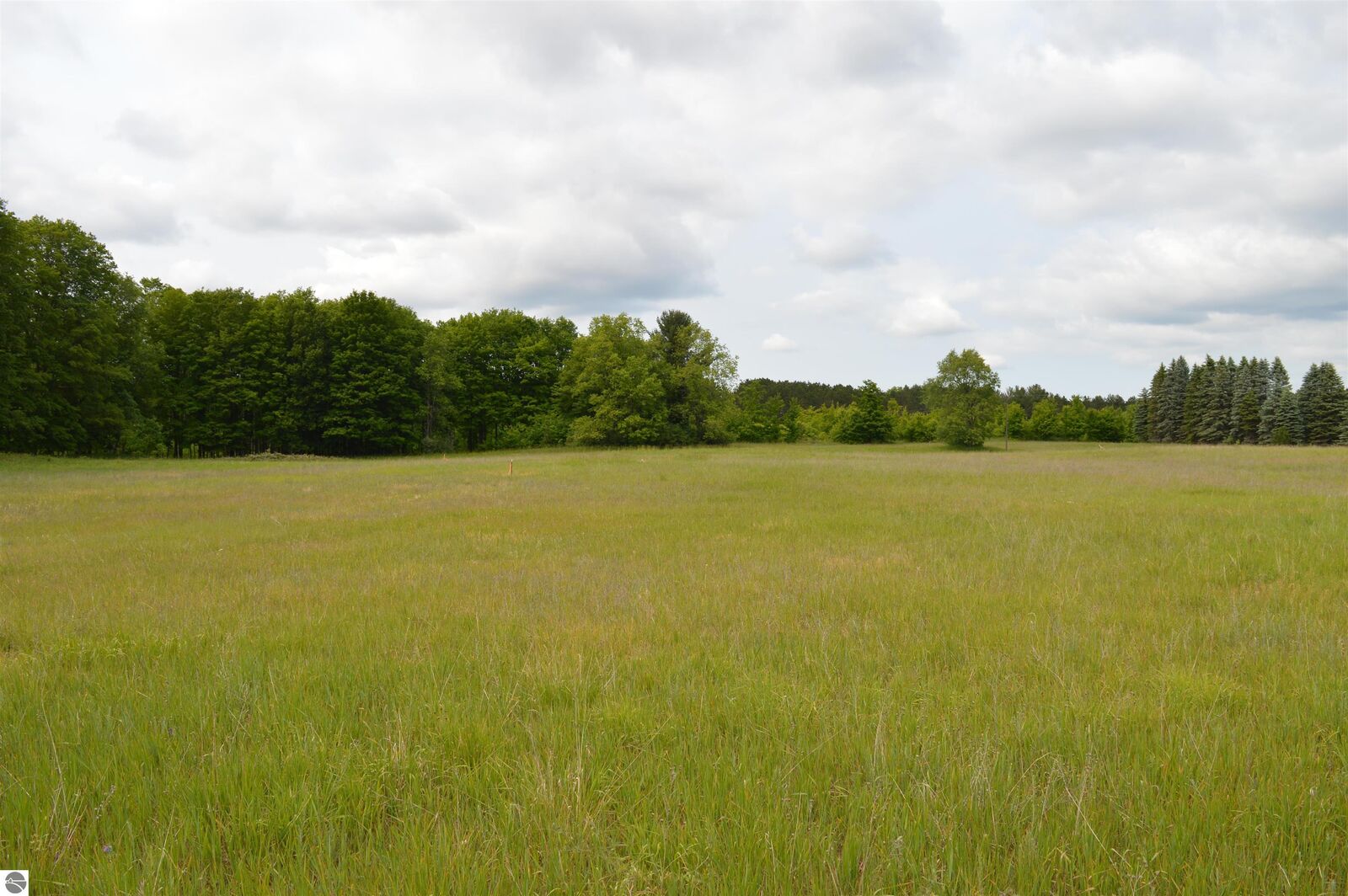 Property Photo: N Summit City Road MI 49649