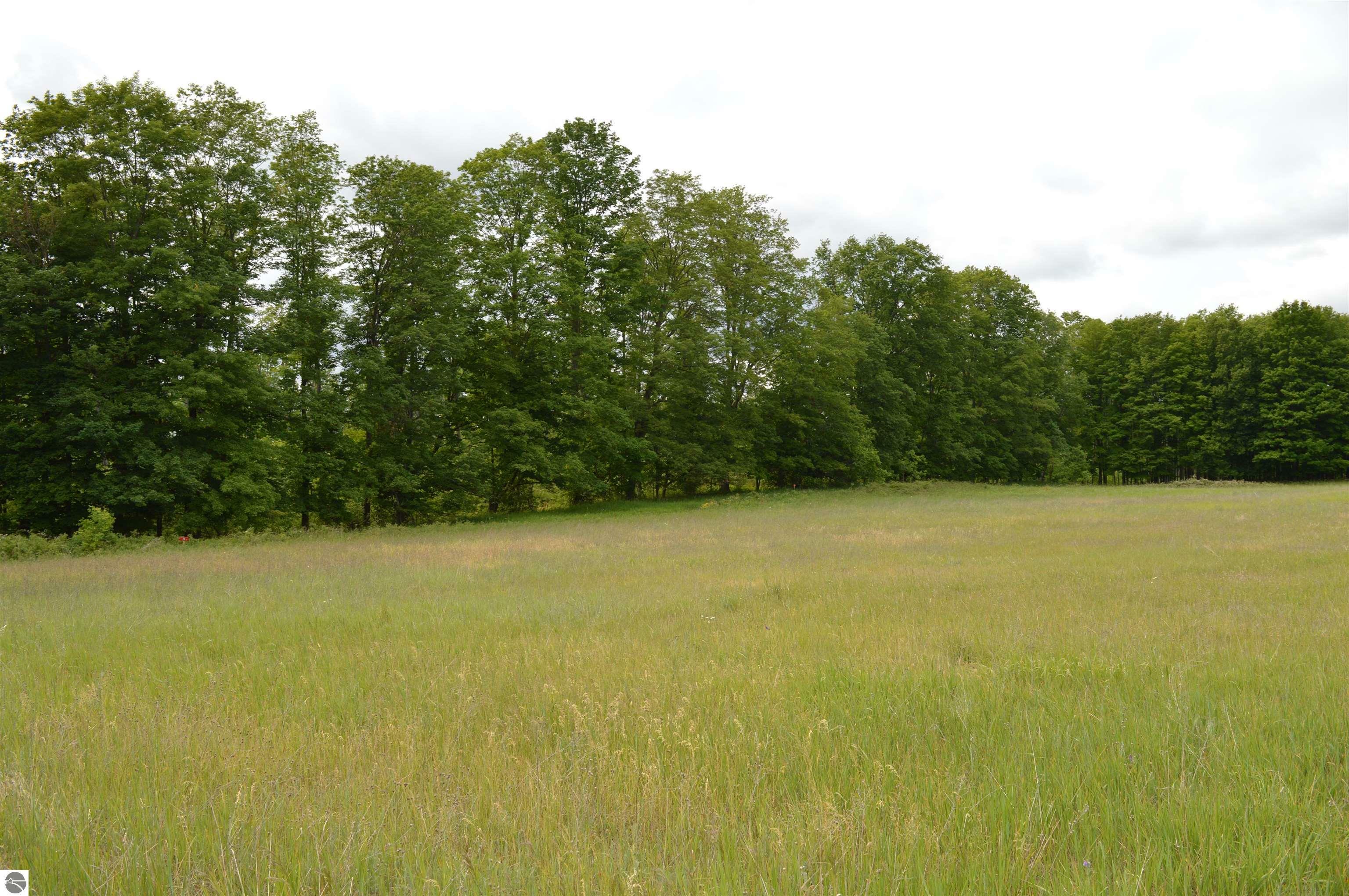 Property Photo:  M Summit City Road  MI 49649 