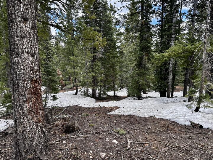 Property Photo:  3170 Colt Rd  UT 84762 
