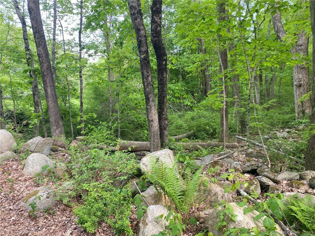 Property Photo:  96 North Parker Aka Lot 4 Road  CT 06447 