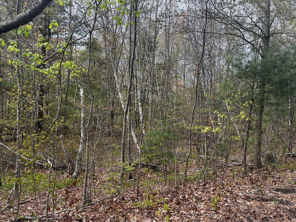 Property Photo:  27 Pleasant St. Lot 1  MA 01756 