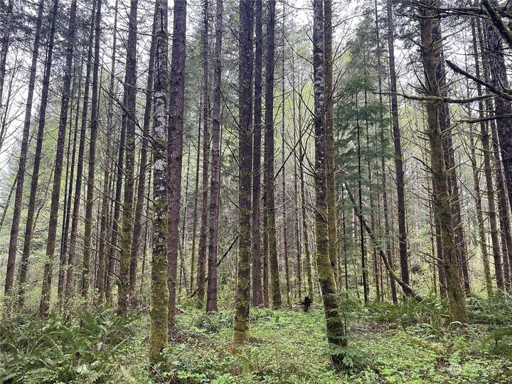 Property Photo:  0  Little Kalama River Road  WA 98674 