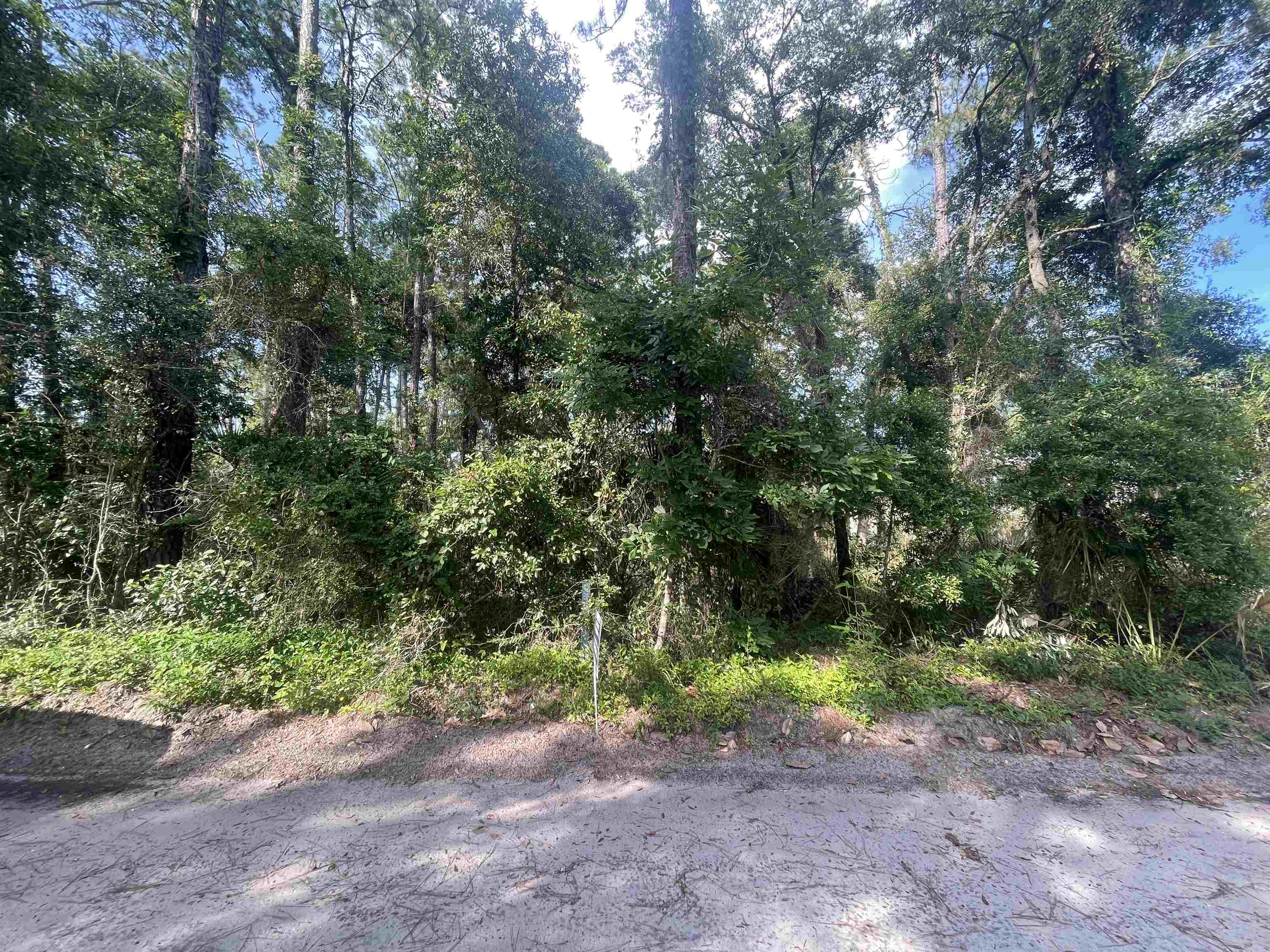 Property Photo:  River Drive  FL 32346 