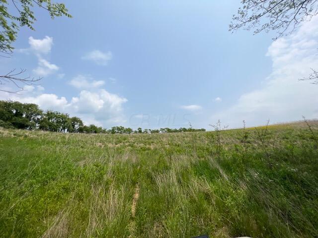 Property Photo: 9621 Mulberry Road OH 43055