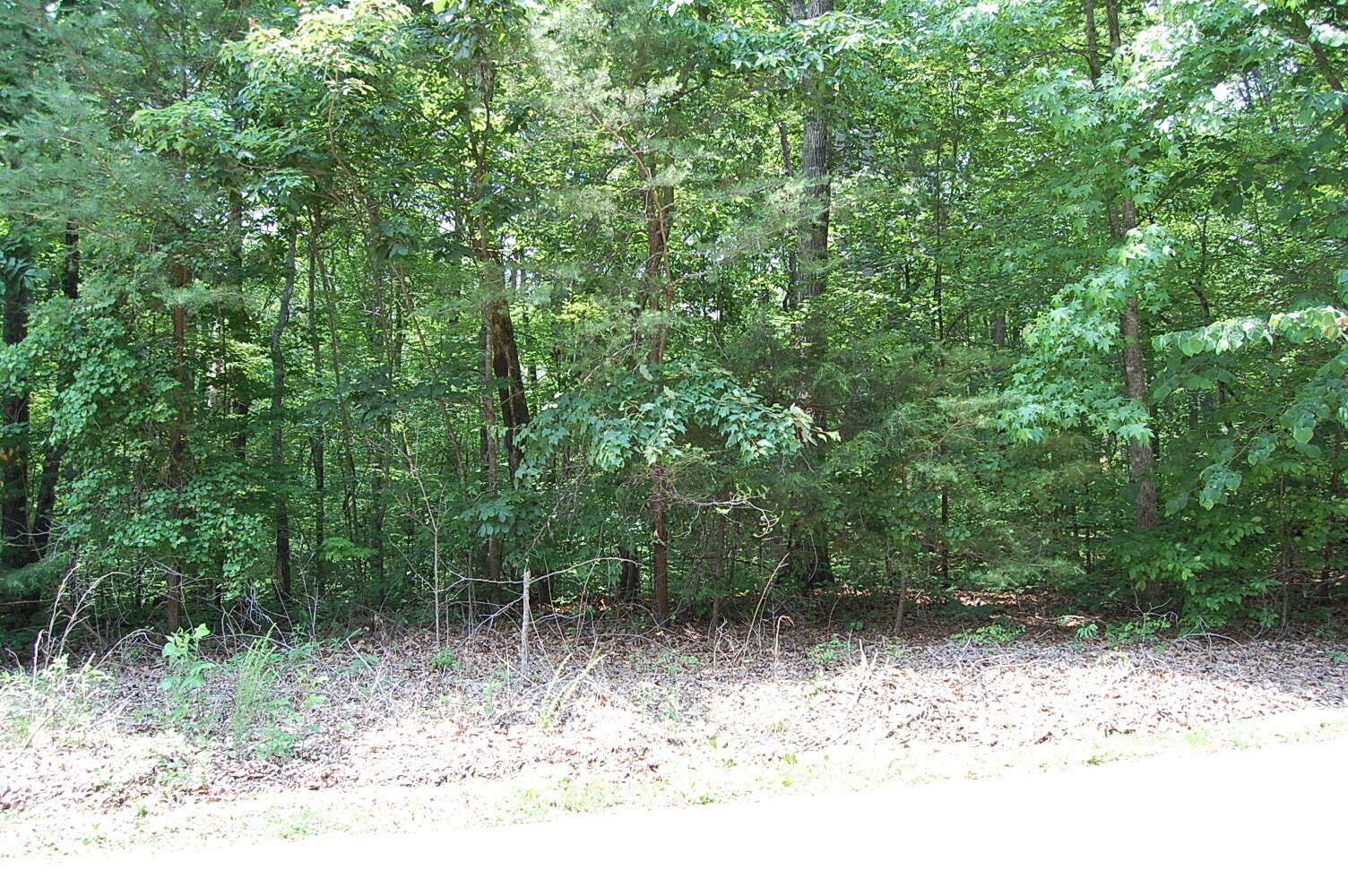 Property Photo:  3133 Blue Sewanee Road  TN 37327 