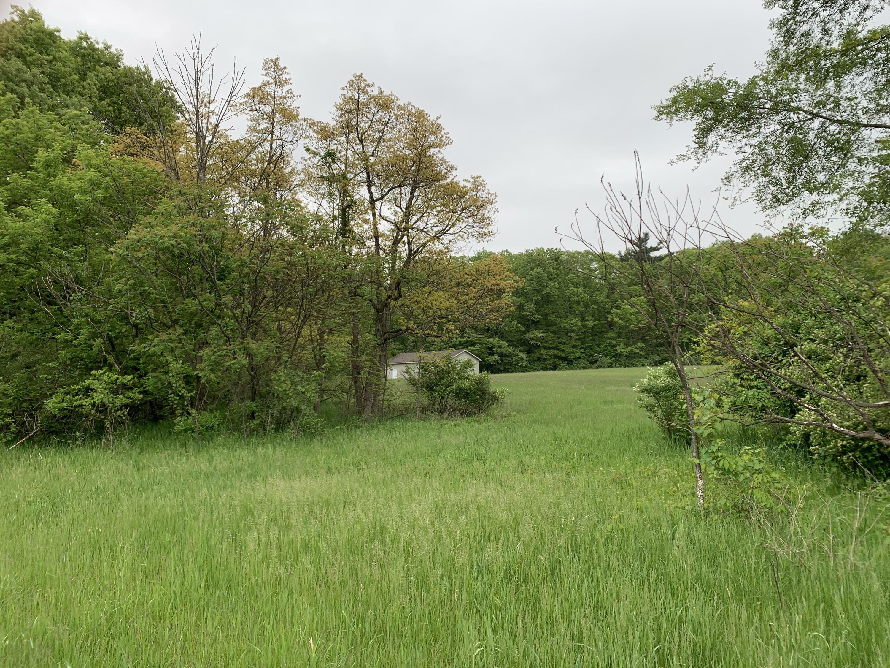 Property Photo: M-40 Highway MI 49055