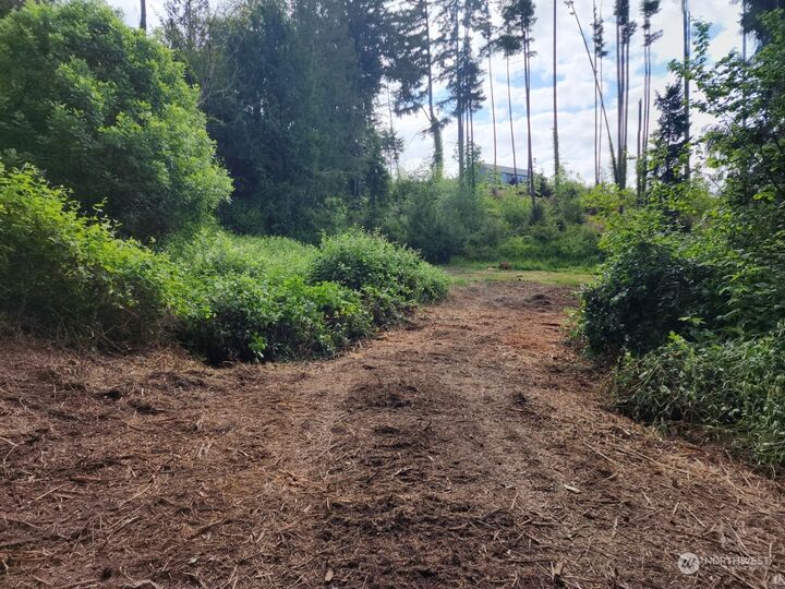 Property Photo:  141 Wallace Road  WA 98532 