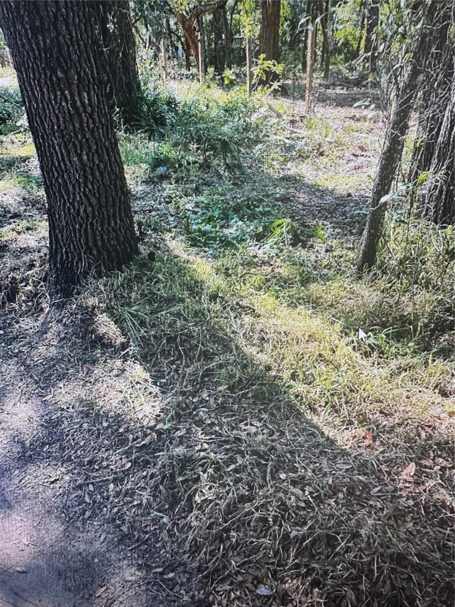 Property Photo:  13001 Lucille Drive  FL 34669 