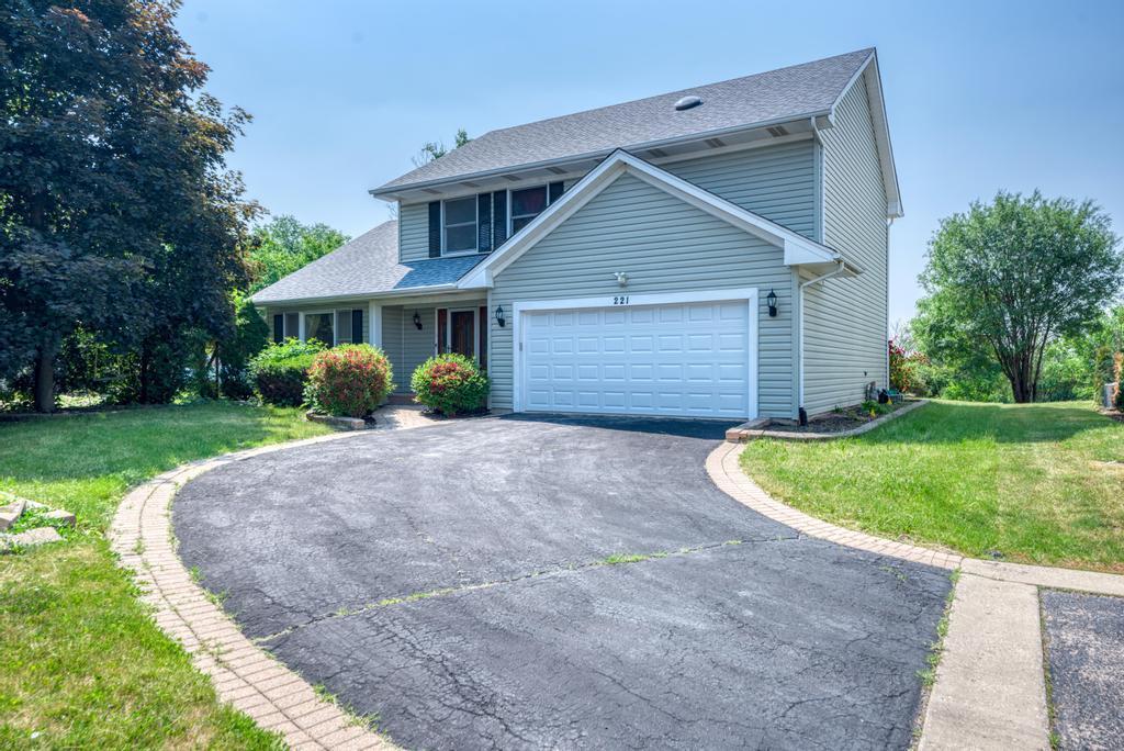 Property Photo:  221 Windsor Drive  IL 60103 