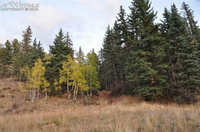 Property Photo:  1676 Pathfinder Road  CO 80816 