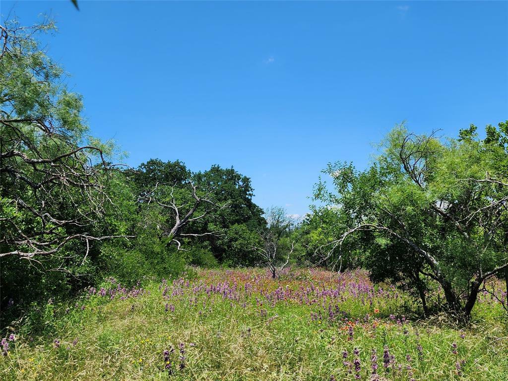 Property Photo:  Tbd County Rd 127  TX 76857 