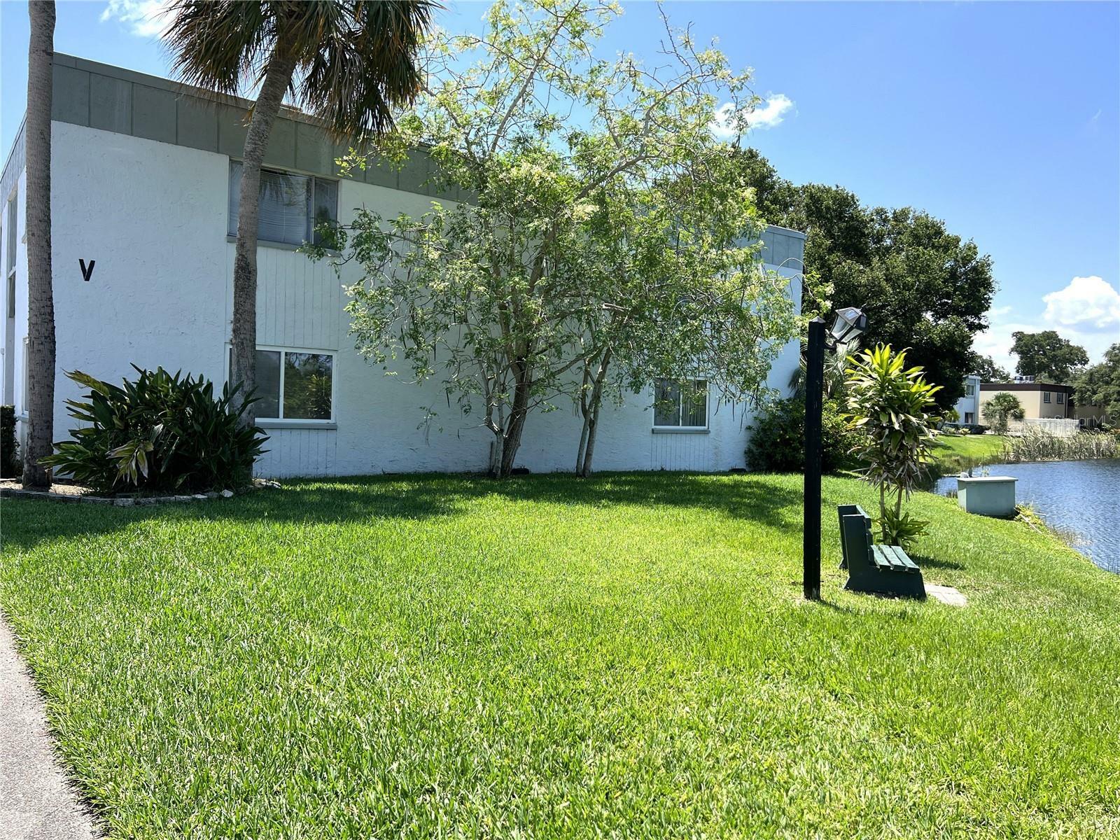 Property Photo:  811 N Keene Road V-4  FL 33755 