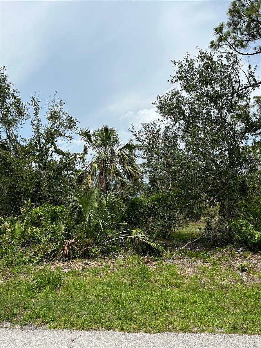 Property Photo:  3721 Woodholm Drive  FL 33982 