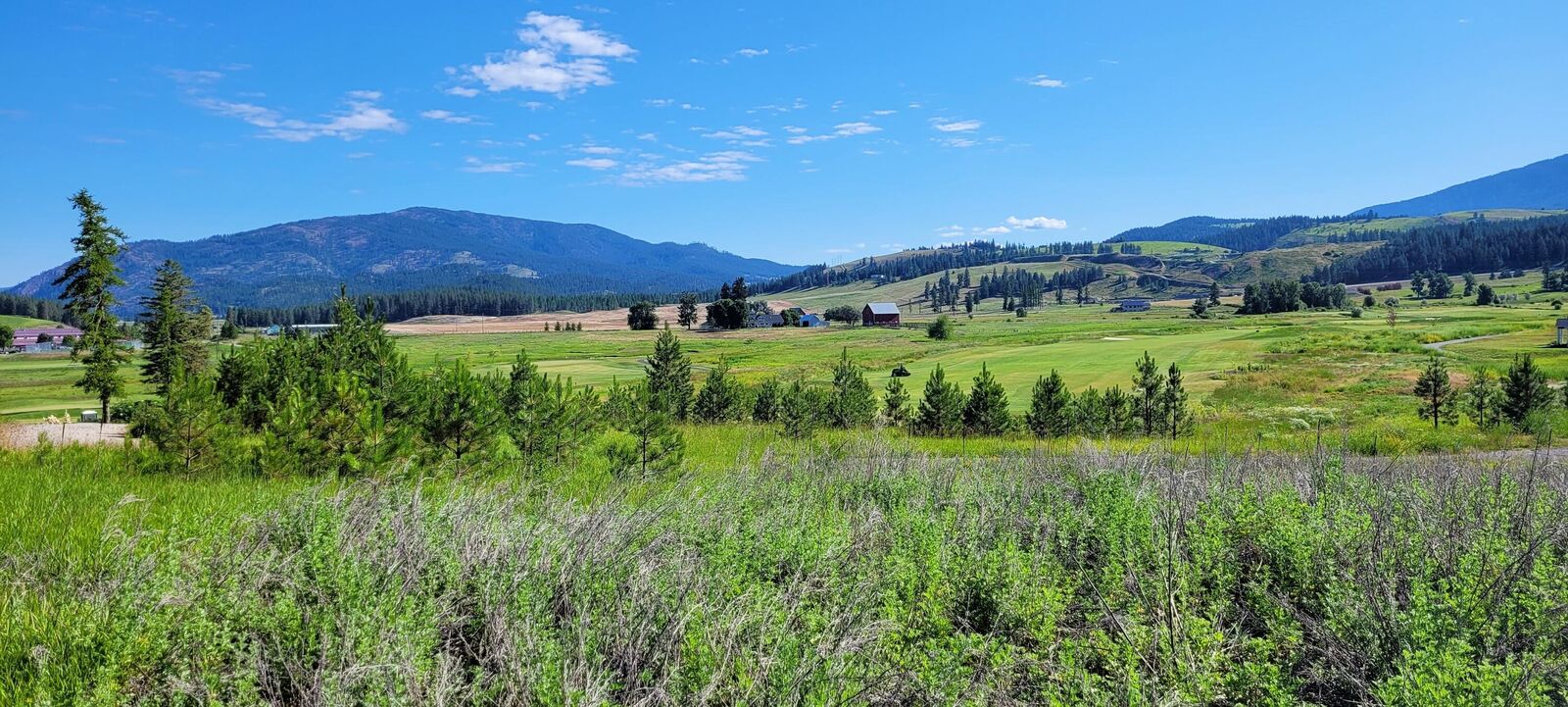 Property Photo: 700 Evergreen Way WA 99114