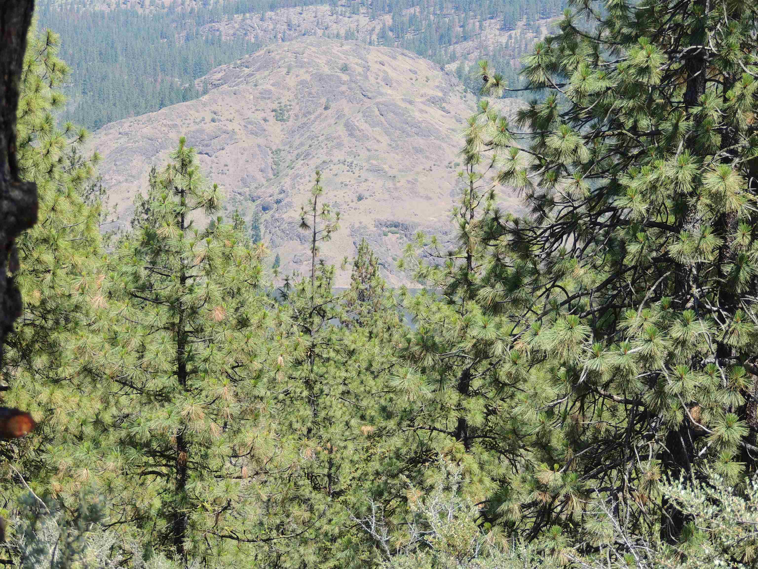 Property Photo: Timber Bay Ranch Lot 27 WA 99122
