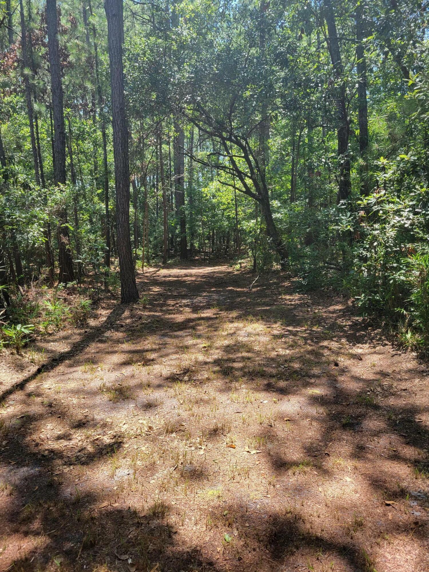 Property Photo:  7991 Little Britton Road  SC 29449 