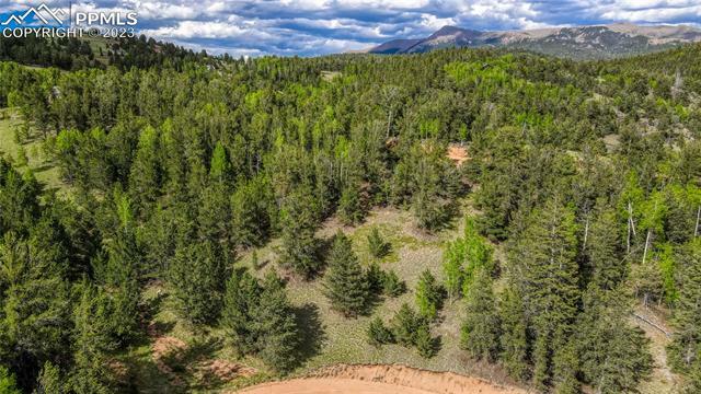 Property Photo: 433 Brown Bear Drive CO 80813