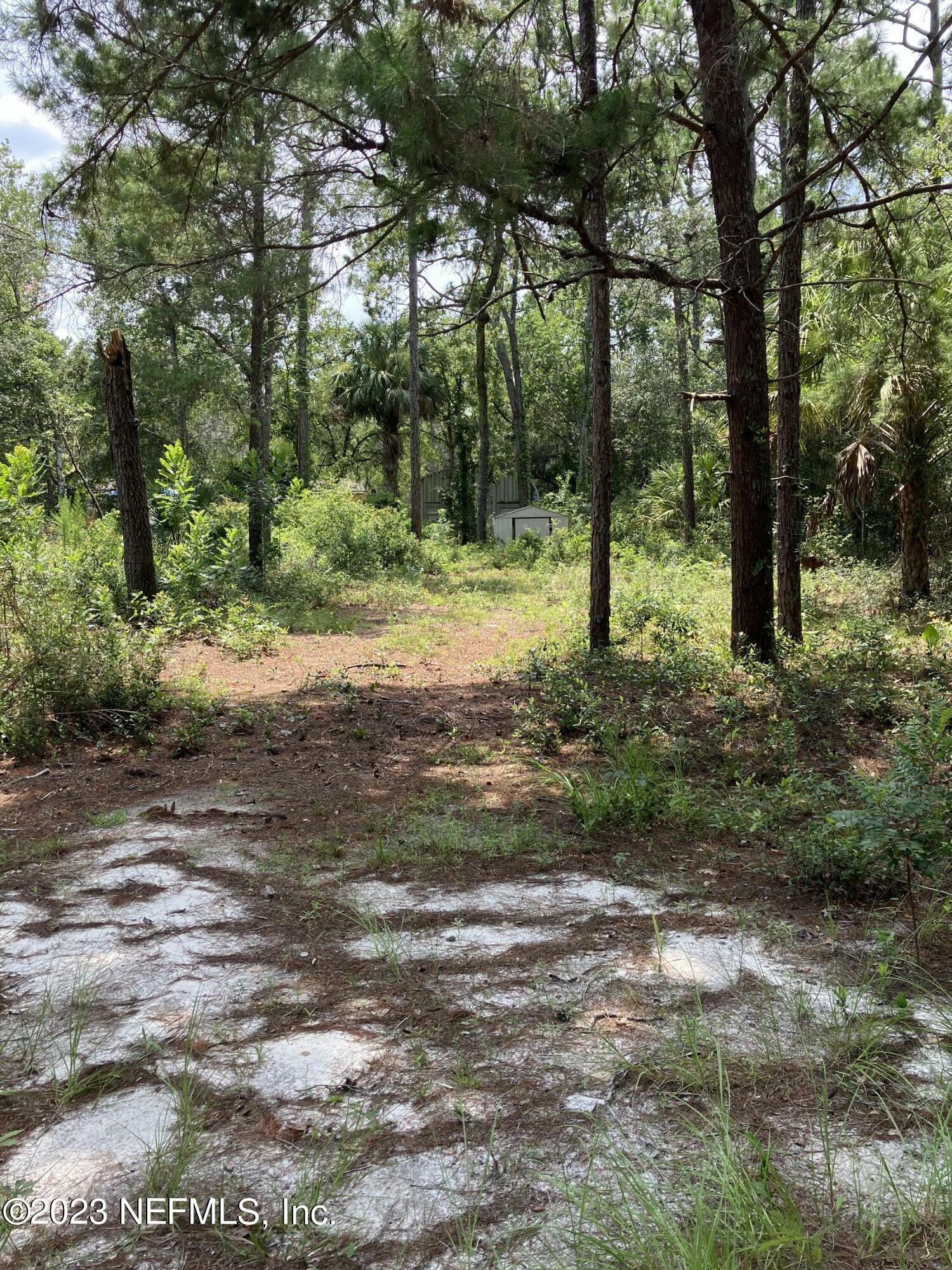 407 Rustic Road  Satsuma FL 32189 photo