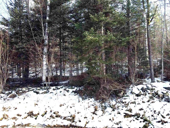 Property Photo:  Tbd Easton Road  NH 03586 
