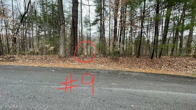 Property Photo:  Lot 9 Woods Haven Lane  VA 24171 