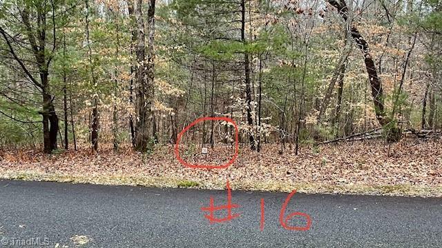 Property Photo: Lot 16 Woods Haven Lane VA 24171