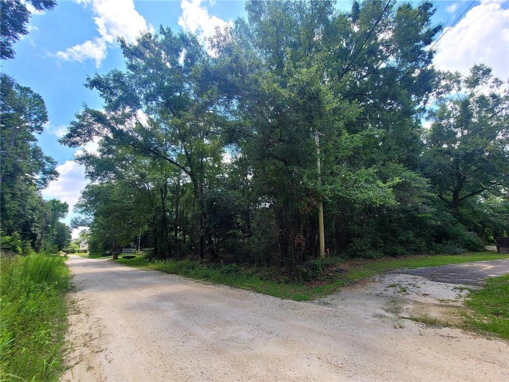 Property Photo: 0 Bream Drive AL 36582