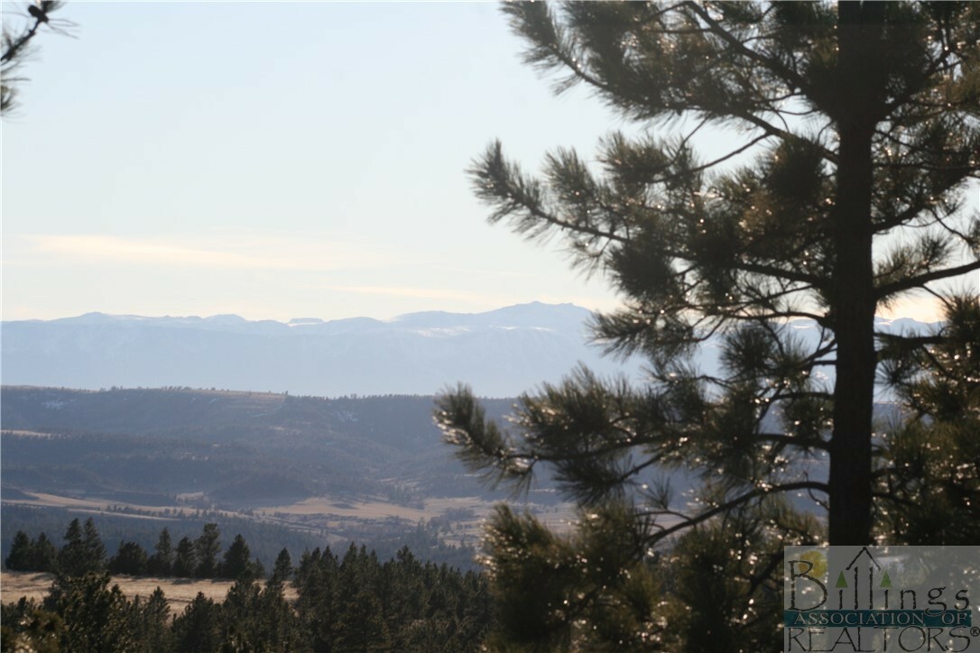 Property Photo:  0 Pinecrest Road  MT 59019 