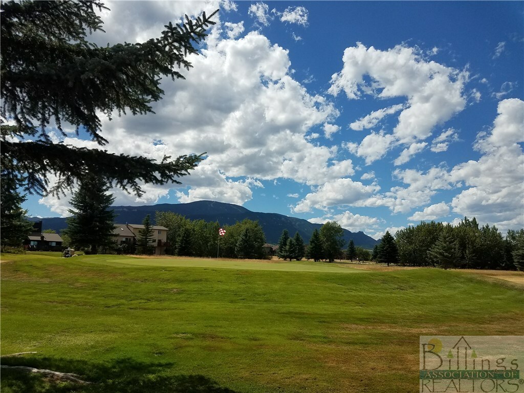 Property Photo:  95 Lazy M  MT 59068 