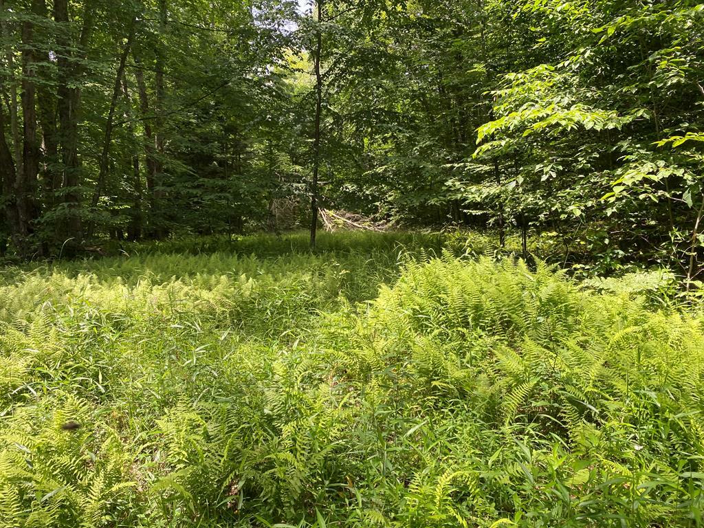 Property Photo:  . Byromtown Road  PA 16239 