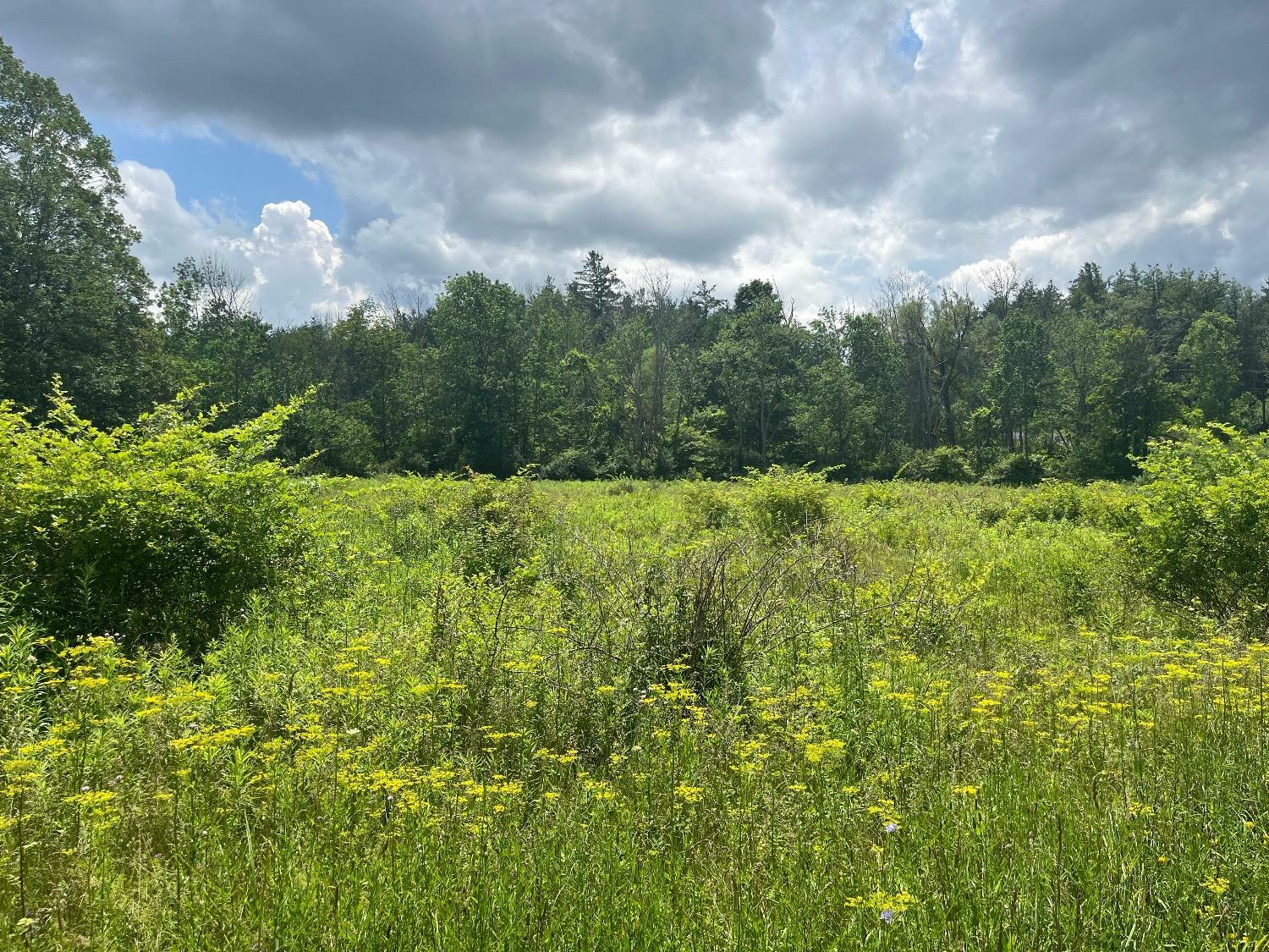 Property Photo: 0 Hornbrook Road NY 14850