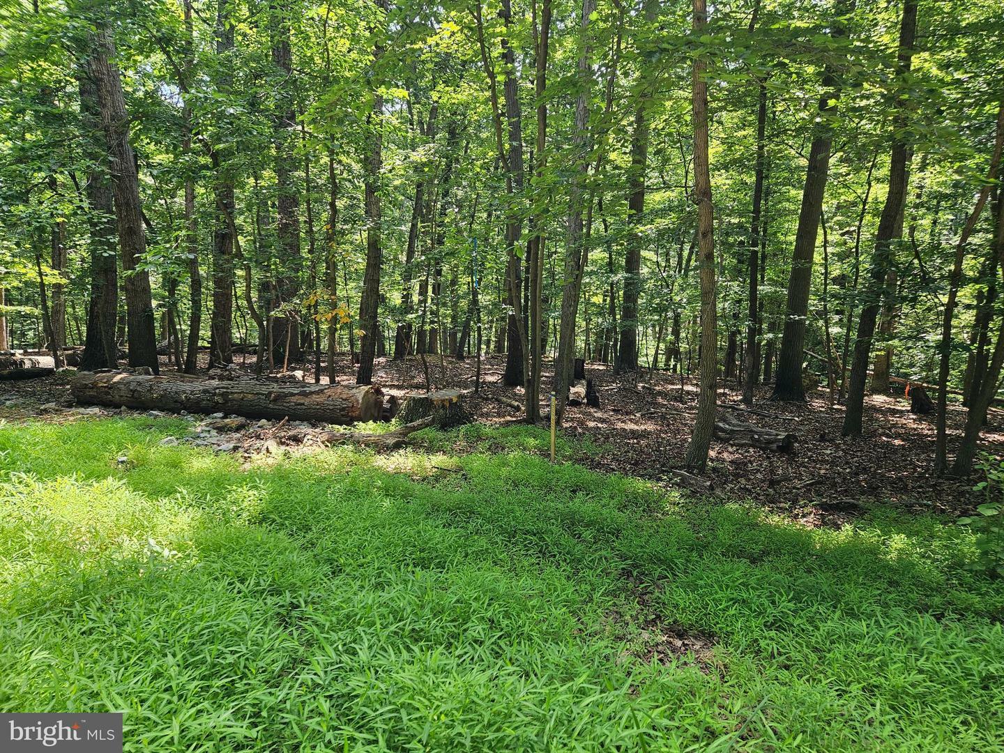 Property Photo:  Dogwood Ln  VA 20135 