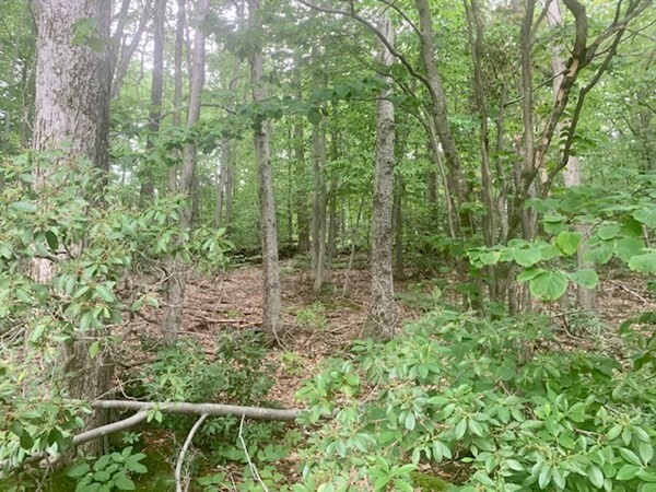 Property Photo:  Lot 5 Richardson Rd  MA 01431 