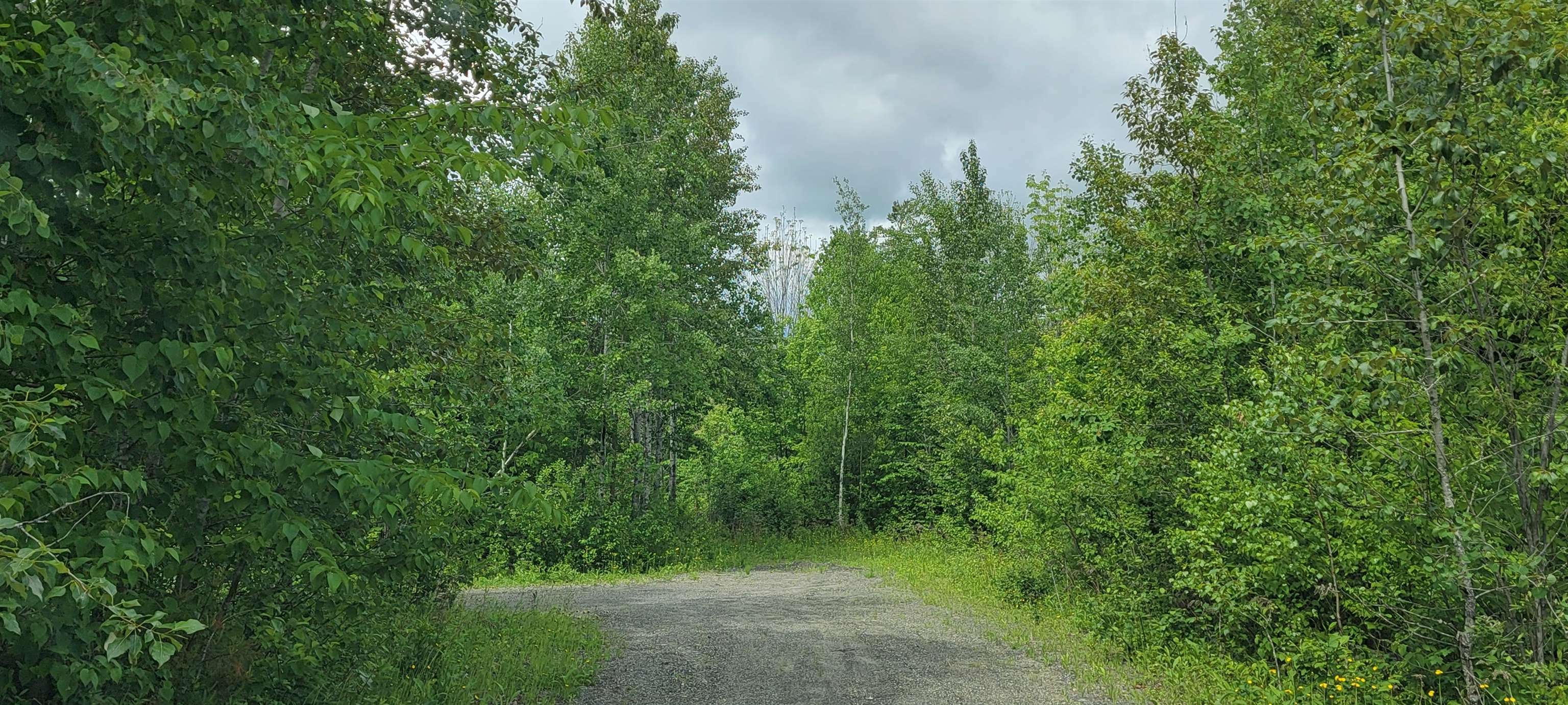 Property Photo:  Lot 1-107 Steeple View Drive  NH 03574 