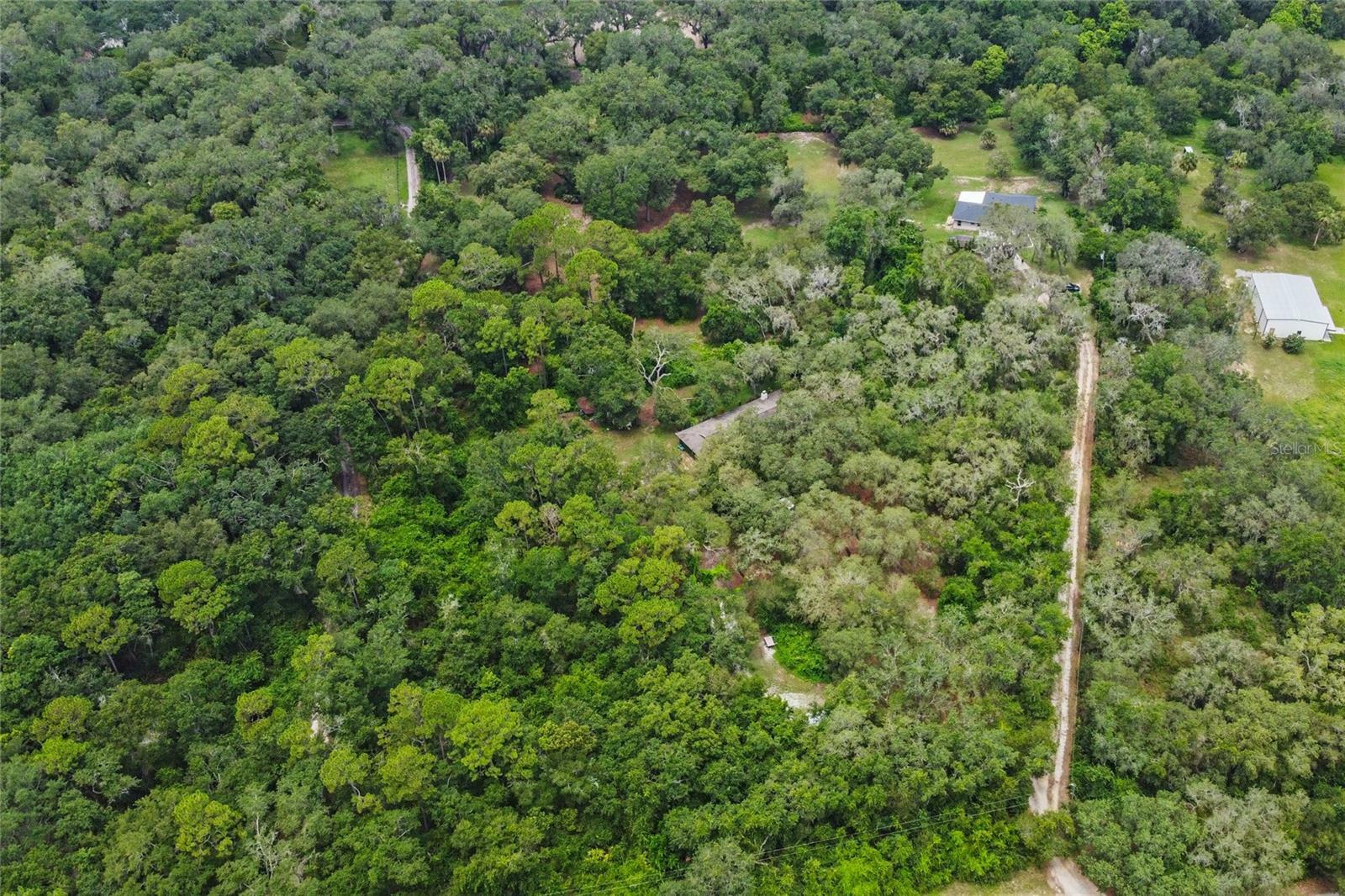 Property Photo: 27025 Oak Shadow Lane FL 32757
