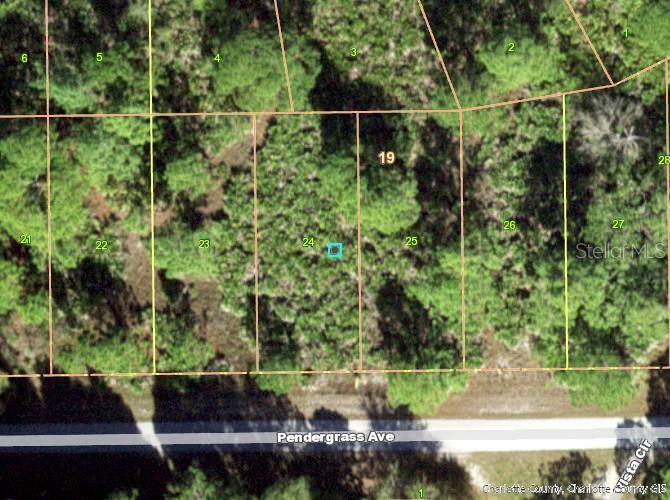 Property Photo:  28046 Pendergrass Avenue  FL 33955 