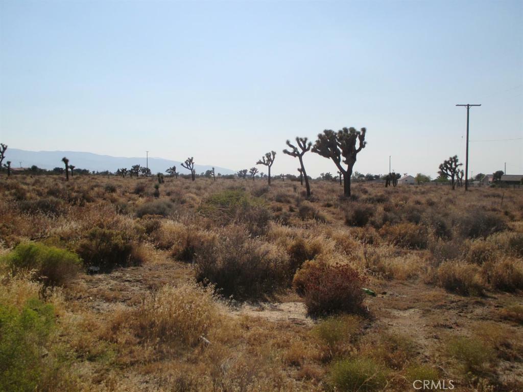 Property Photo:  0 Columbine Road  CA 92344 