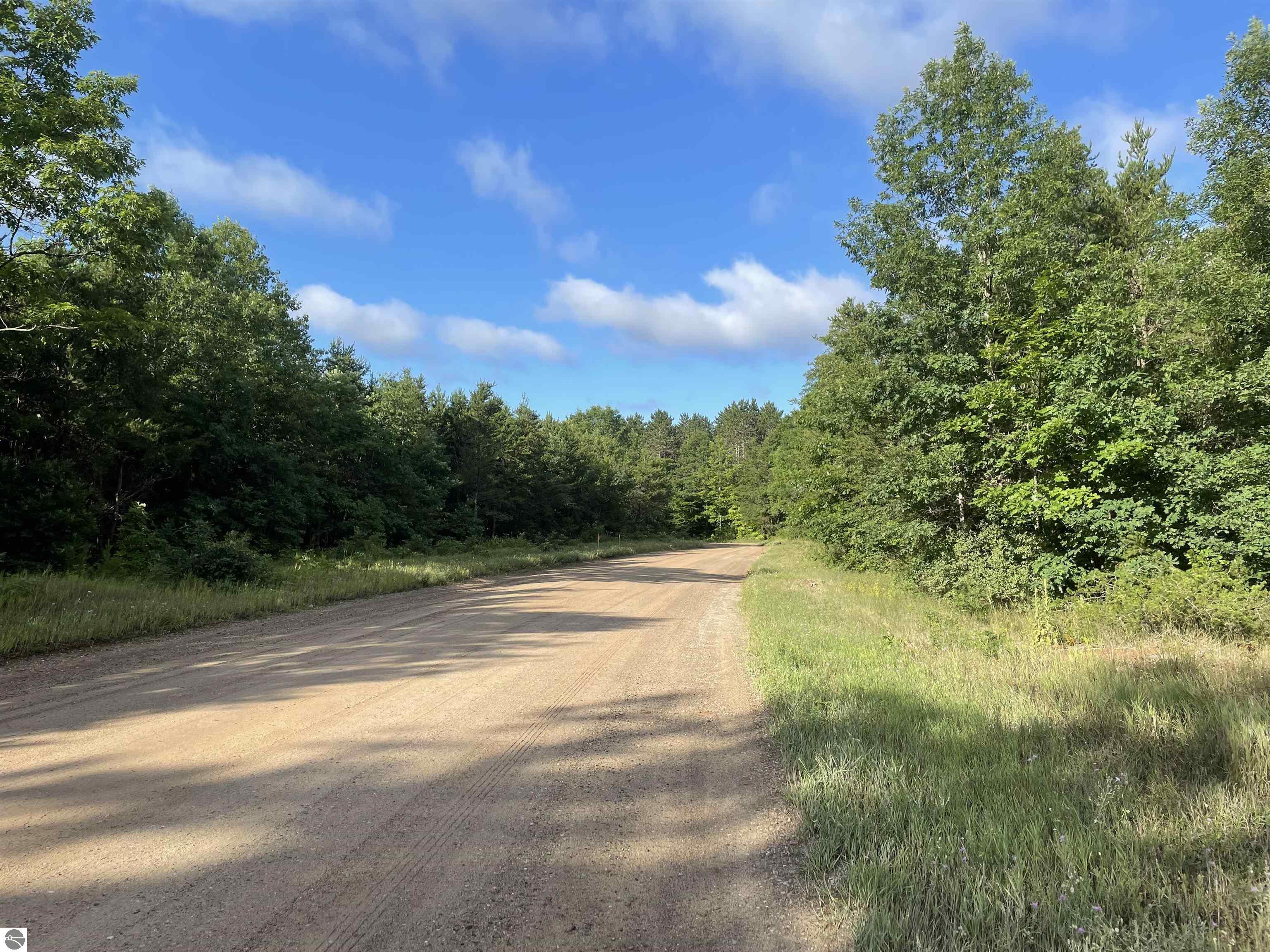 Riley Road  Interlochen MI 49643 photo